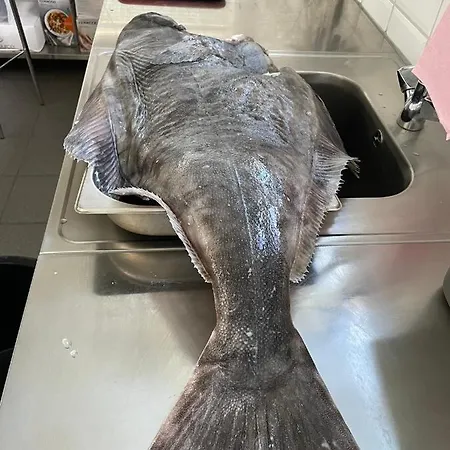 Haugen Boutique 酒店 Grottoy